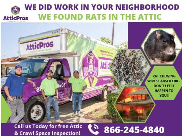 San Jose Attic & Crawl Experts – Rodent Proofing & Insulation Pros 1
