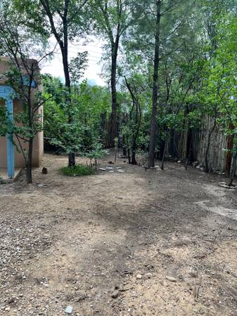 $1,200 / 1br - 500ft2 - Hermosa Casita en la Ciudad (Taos)63659797912707122