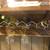Ford F-100 Wall Mounted Light and Wine Rack 4 thumbnail