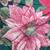 Beautiful Poinsettia Bedspread. Green on Reverse. Full Sized. 4 thumbnail