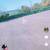 yard for rent 5 thumbnail