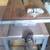 TABLE SAW, Craftsman 8”, on wheels and sturdy mounting table. 2 thumbnail