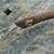 Vintage Lawn mower handle 3 thumbnail