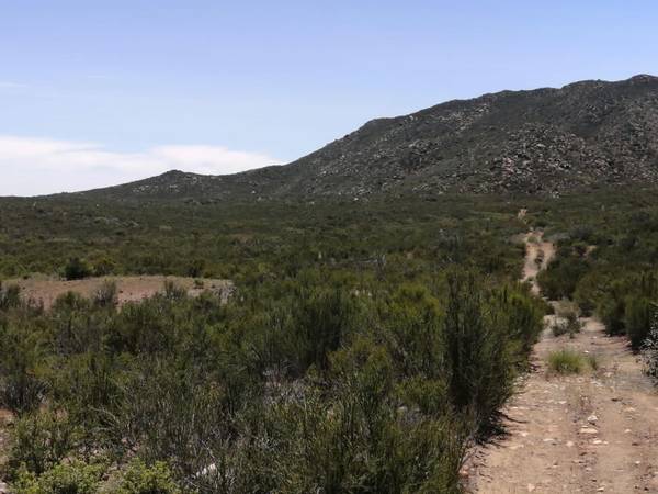 $35,000 Rural lots per hectare!!! (Ensenada)64217145946625124