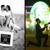 Portrait Photographer - FAMILY, COUPLE, MATERNITY, BABY - Photography 17 thumbnail