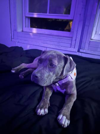 pattymelt AKA stella. 1