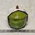 Crofton Avocado Fruit Ceramic Baker Canister Jar Casserole Lid Kitchen Decor NWT 3 thumbnail