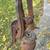 Vintage Hand Well Water Pump 5 thumbnail
