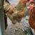 Rhode Island Red Roosters 7 thumbnail