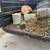 Call Today! Trash Removal,Tree Trimming, Cleanups 1 thumbnail