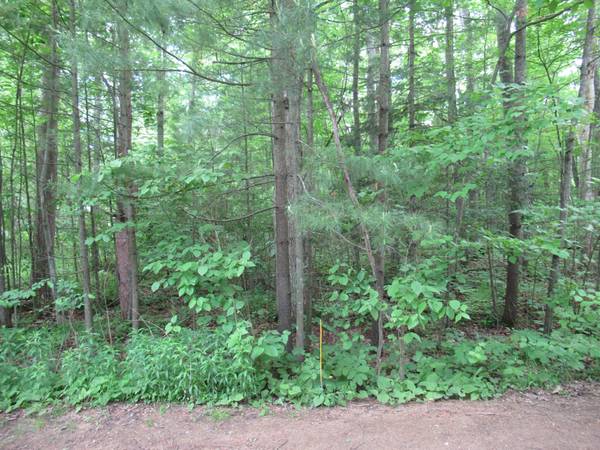 $7,995 Camping lot near parks and lakes (Skidway Lake, MI)64037723486466120