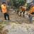 Affordable Tree Care Petaluma 8 thumbnail