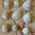 Cut Glass & Seashells 12 thumbnail