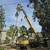 CRANE TREE REMOVAL 7 thumbnail