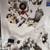 Ford Chevy alternator mustang svo factory manuals helm 3 thumbnail