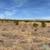 INVESTMENT LAND Opportunity! 2.08 Gross Acres flat and ready to Build! 1 thumbnail
