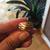 Solid and Heavy Yellow Gold Wide Band (Size 5-6) with elegant Design 3 thumbnail