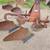 Dearborn 2-14 Plow 1 thumbnail