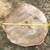 Cottonwood Round Slabs 4 thumbnail