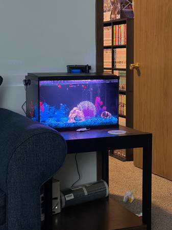10gallon fish tank