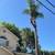 Tree service 4 thumbnail