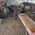 Beef heifers 12 thumbnail