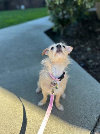 looking for home (hayward / castro valley)63861571678339123