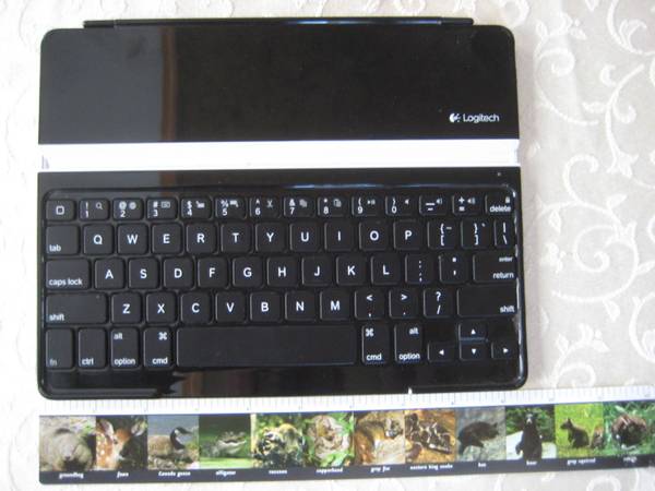 Logitech Bluetooth Wireless Keyboard for iPads 1