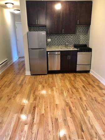 $1,750 / 1br - Updated Lakeview 1bd! No Sec Dep, Pets OK! Red EL, Jewel, Target! (Lake View)63918533203970121