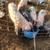 Pigs 2 thumbnail