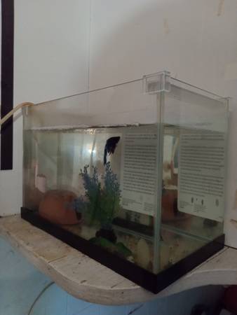 Fish tank  $9 1