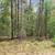 Sugar Camp Chain of Lakes Access. Wooded lot 12 thumbnail