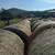4x5 round bales of hay 3 thumbnail