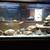 Aquarium/Fishtank 1 thumbnail