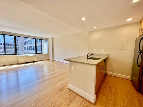 $2,295 / 460ft2 - ¡Estudio remodelado increíble con vista a la piscina! (Dupont Circle)63822294179203121