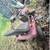 Riding Lawnmower 1 thumbnail