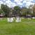Great 1 bed / 1 bath! We Love Pets! Ask about our Pet Policy 12 thumbnail