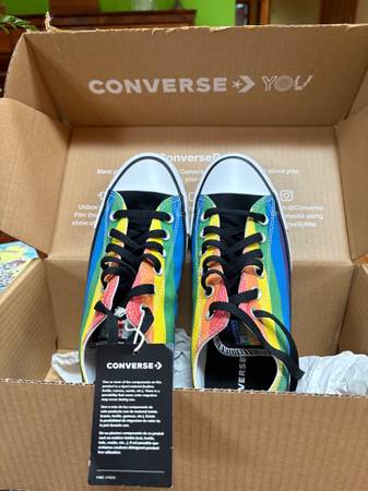 Converse Pride Low Top Sneaker 1