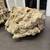 Very Large Dry Rock For Aquarium 5 thumbnail