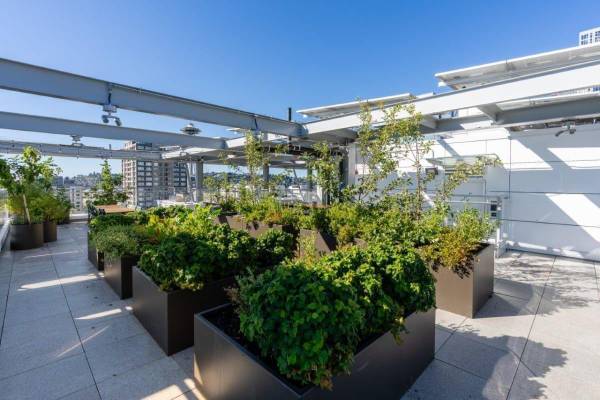 Chic Belltown Studio-BBQ Rooftop, Bike Storage, Limited Avail! 1