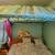 Canopy Bed 1 thumbnail