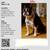 Lost Female Boston Terrier dog 1 thumbnail