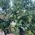 Home w/acreage Grand Marais MN 17 thumbnail