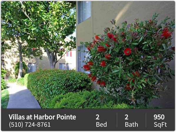 $2,393 / 2br - 950ft2 - Espacios elegantes, comunidad vibrante: ¡tu nueva vida comienza aquí! (Pinole)63682832145153121