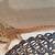 Bearded Dragon Baby's 5 thumbnail