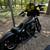 2016 Harley iron for sale 6 thumbnail