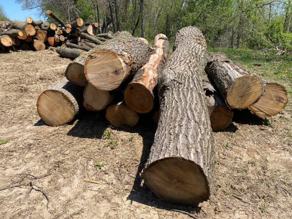 Fire wood and hardwood logs for sale - $100 (Whitehall)63471096403713121