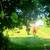 HORSE BOARD~Partial self care $300.00 2 thumbnail