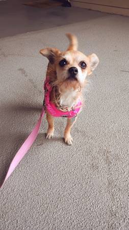 Looking for room for rent 1