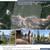 34 Acre Boise Mountain Estate | Build Ready | Well + Septic | No HOA 21 thumbnail